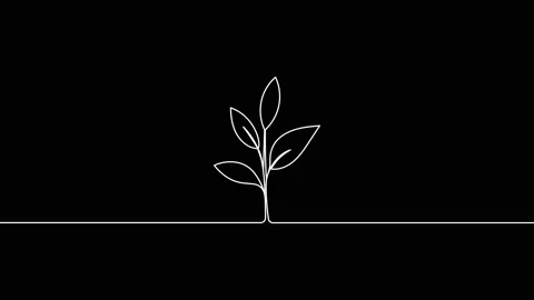 Leaves continuous single one line art drawing planting tree animation video Stock Footage 313421363