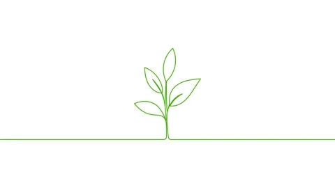 Leaves continuous single one line art drawing planting tree animation video 스톡 동영상 313421364