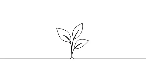 Leaves continuous single one line art drawing planting tree animation video Video stock 313421365