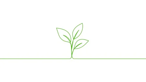 Leaves continuous single one line art drawing planting tree animation video Stock Footage 313421366