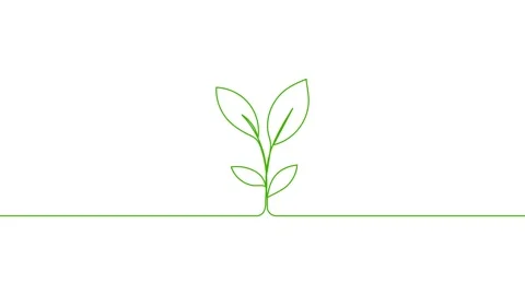 Leaves continuous single one line art drawing planting tree animation video 스톡 동영상 313421367
