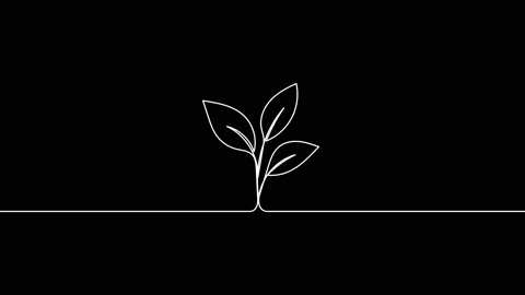 Leaves continuous single one line art drawing planting tree animation video Vidéo 313421368