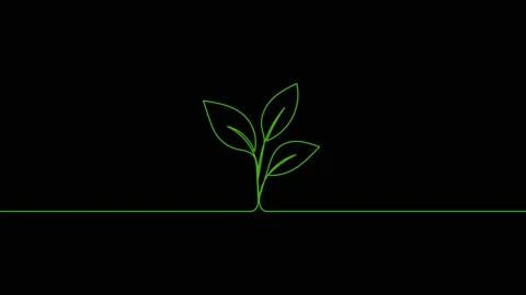 Leaves continuous single one line art drawing planting tree animation video Vidéo 313421369