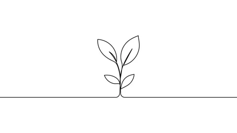 Leaves continuous single one line art drawing planting tree animation video 스톡 동영상 313421370