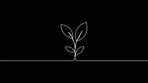 Leaves continuous single one line art drawing planting tree animation video Stock Footage 313421373