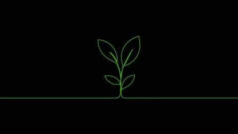 Leaves continuous single one line art drawing planting tree animation video Vídeo Stock 313421374