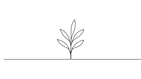 Leaves continuous single one line art drawing planting tree animation video Stock Footage 313421375