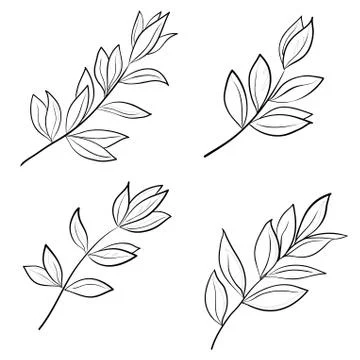 Leaves contours Stock Illustration