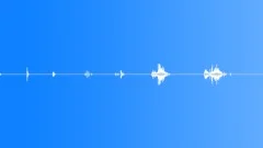 LEAVES, CRUNCHSound Effect