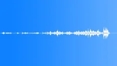 LEAVES, CRUNCHSound Effect