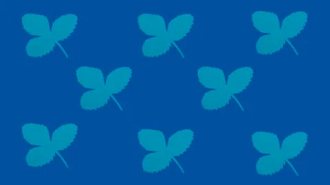 Leaves cut from blue paper. Pattern. Paper cut style. Flat lay. 库存照片