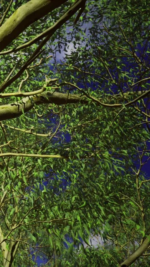 Leaves dance in the gentle breeze under a bright summer sky Video stock 334254114