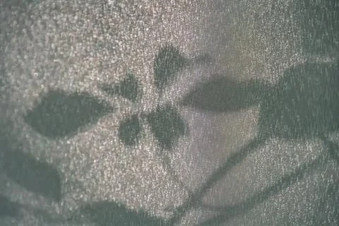 Leaves dancing with light on a glass surface, casting abstract shadow pattern Stock Photos
