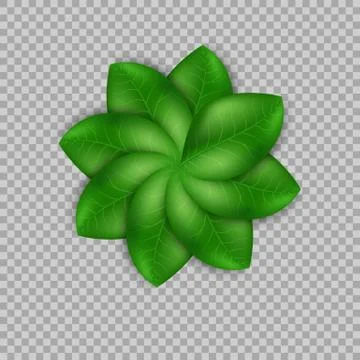 Leaves design elements. Green sprout green leaves symbol vector concept on Stock Illustration