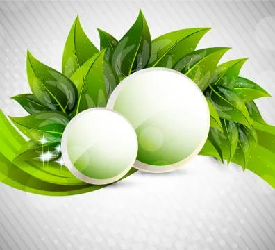 Leaves design Illustrazione stock