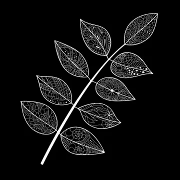Leaves doodle Stock Illustration