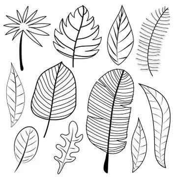Leaves Doodle Vector Set. Vector Illustration. Stock Illustration