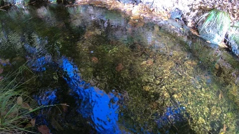 Leaves drift on small sunny mountain forest stream panning beside rocks Stock Footage 86356815