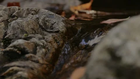 Leaves drifting down waterfall in the fall or autumn Stock Footage 10805314