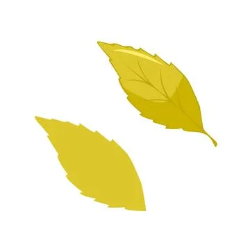 Leaves elements, botanical vector isolated on white background suitable for Stock Illustration