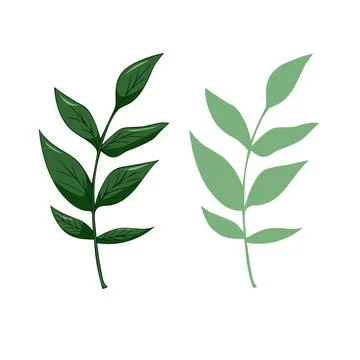 Leaves elements, botanical vector isolated on white background suitable for Stock Illustration