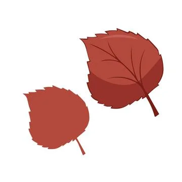 Leaves elements, botanical vector isolated on white background suitable for Stock Illustration