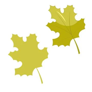 Leaves elements, botanical vector isolated on white background suitable for Stock Illustration