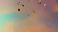 Leaves fall autumn falling seasons thanksgiving trees leaf 4k 4k or 4k+ Resolution