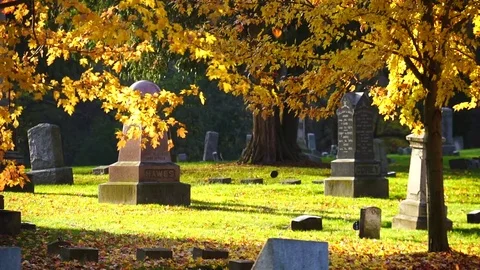 Leaves fall in graveyard 2 Stock Footage 82082769