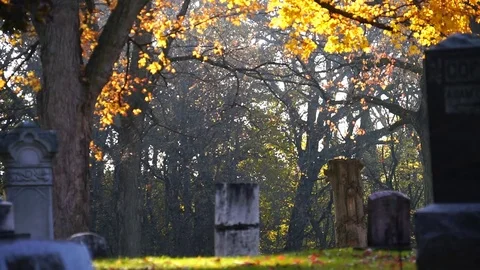 Leaves fall in graveyard 3 Video stock 82082805