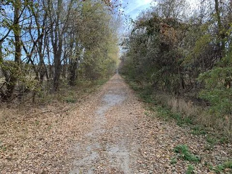 Leaves fall on the Katy Trail pathway Stock Photos