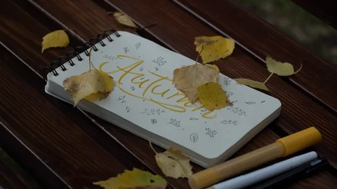 Leaves fall on a notepad Stock Footage 94762485