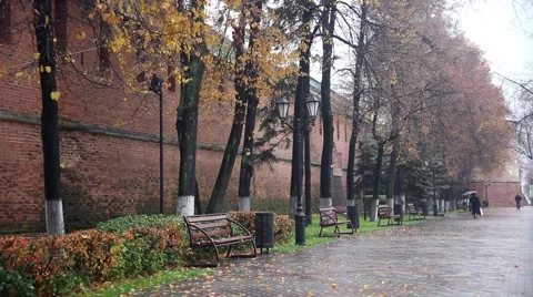 The leaves fall from the trees, autumn. Stock Footage 64636125