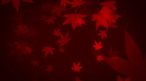 Leaves Falling 2 Video stock 8968191