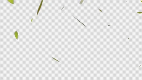 Leaves falling with Alpha Видео 158962402