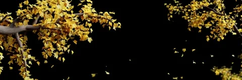 Leaves falling and the background of the stage looping 库存影片 320876026