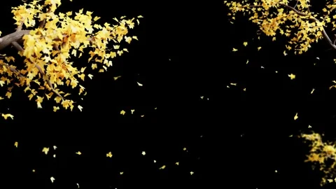 Leaves falling and the background of the stage looping Stock Footage 320876956