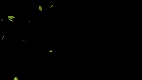 Leaves falling animation on green screen 4k. leaf falling. chroma key backgr Stock Footage 314654463