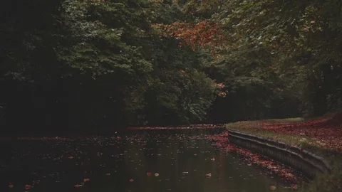 Leaves falling in the Autumn Fall along the Llangollen Canal Stock Footage 71828299