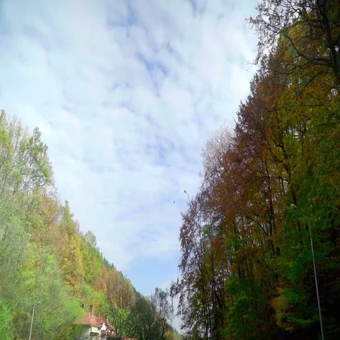 Leaves falling. Autumn somewhere deep in the mountain. Stock Footage 69322301