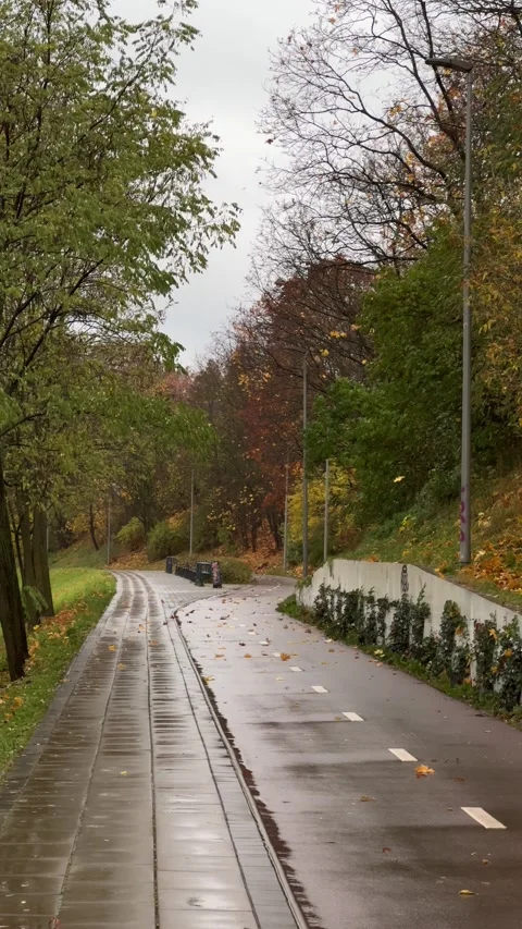Leaves falling on bike path in autumn in Vilnius, Lithuania. Vertical video Stock Footage 257351083