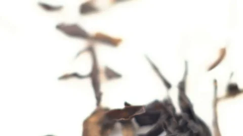 Leaves Falling On Black Background. Stockbeeldmateriaal 69964682