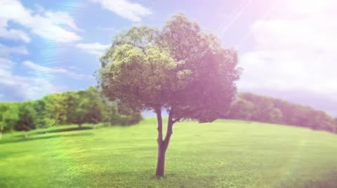 Leaves falling down 1080 HD 스톡 동영상 10910496