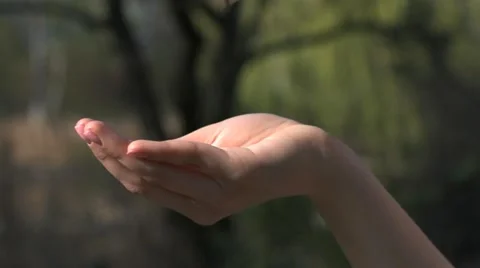 Leaves falling down into woman's hand Stock Footage 64817806