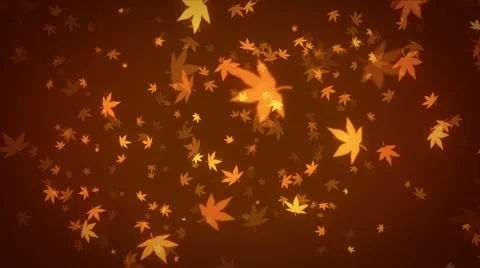Leaves Falling Stock-Footage 4463452