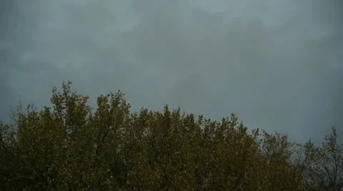 Leaves Falling 스톡 동영상 12531199