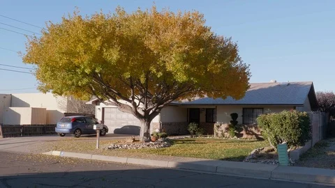 Leaves Falling in Front Yard 60fps Stock Footage 100306539