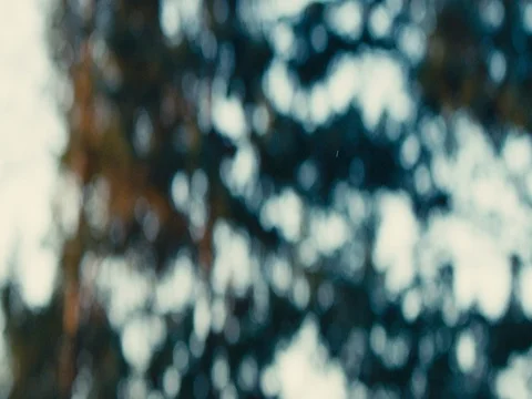 Leaves falling to the ground slow motion, shot on RED EPIC Video stock 84916937