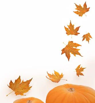 Leaves falling halloween pumpkin autumn background Stock Photos