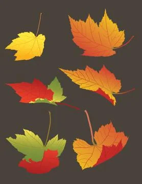Leaves Falling Stock Illustration